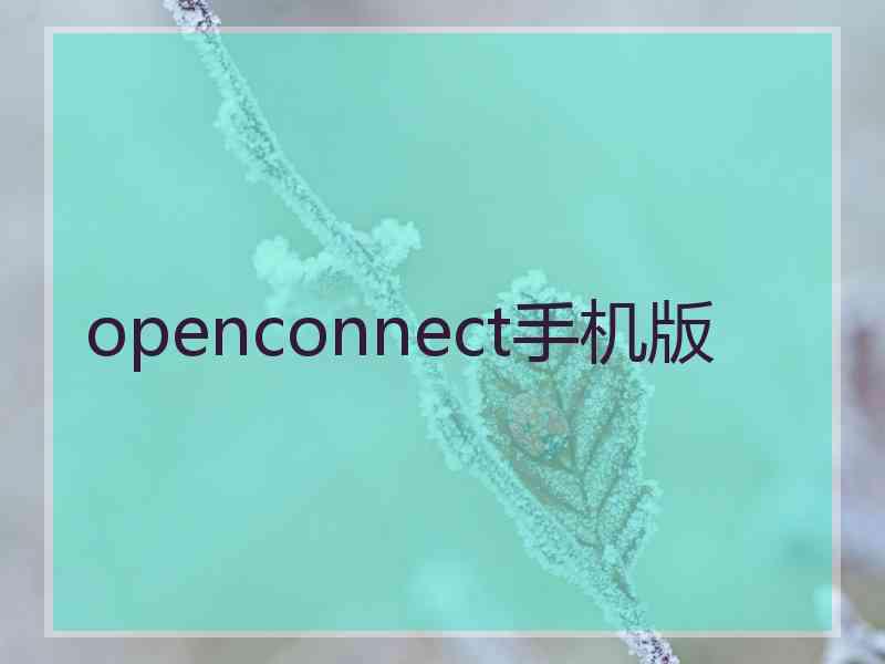 openconnect手机版