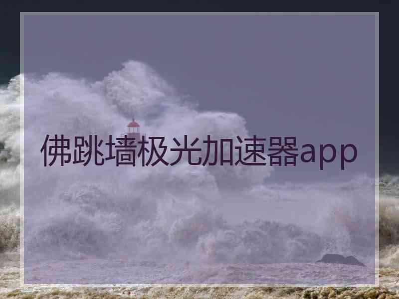 佛跳墙极光加速器app