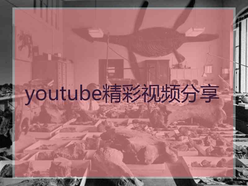 youtube精彩视频分享