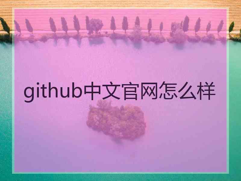 github中文官网怎么样