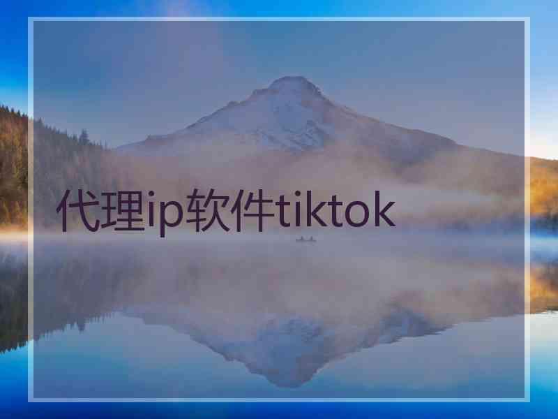 代理ip软件tiktok