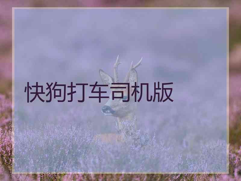 快狗打车司机版