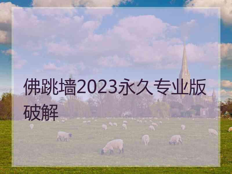 佛跳墙2023永久专业版破解