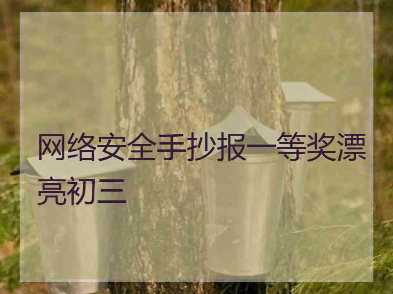 网络安全手抄报一等奖漂亮初三