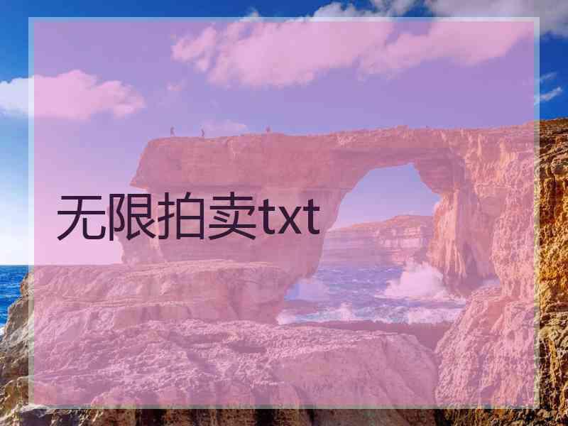 无限拍卖txt