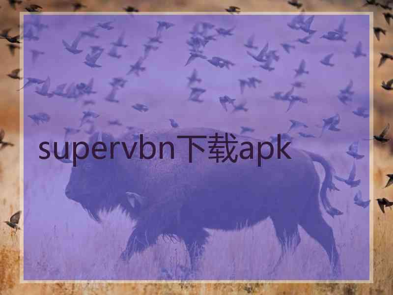 supervbn下载apk