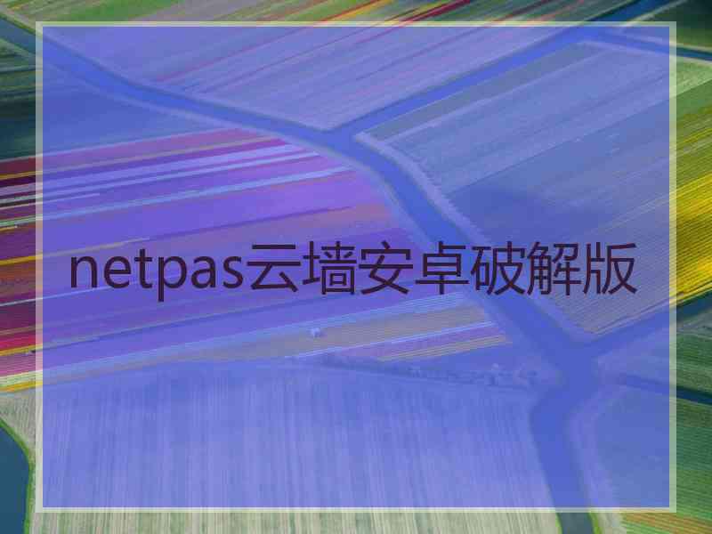 netpas云墙安卓破解版