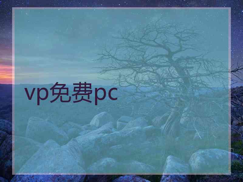 vp免费pc