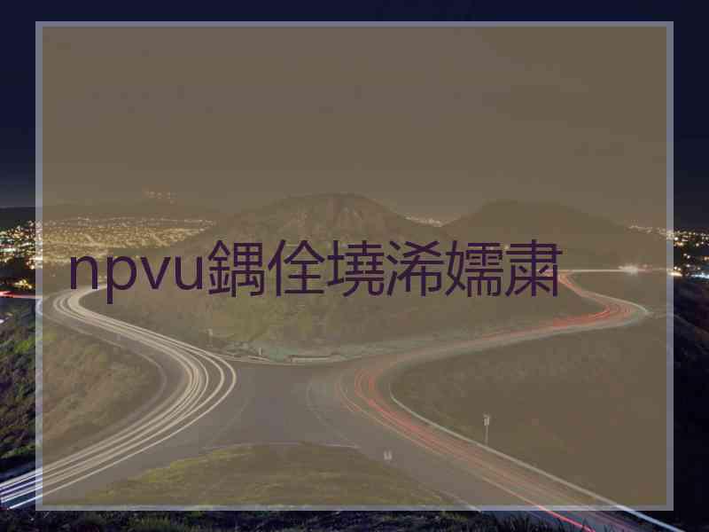 npvu鍝佺墝浠嬬粛