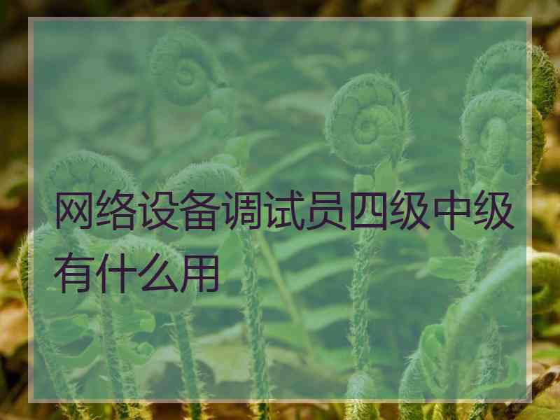 网络设备调试员四级中级有什么用