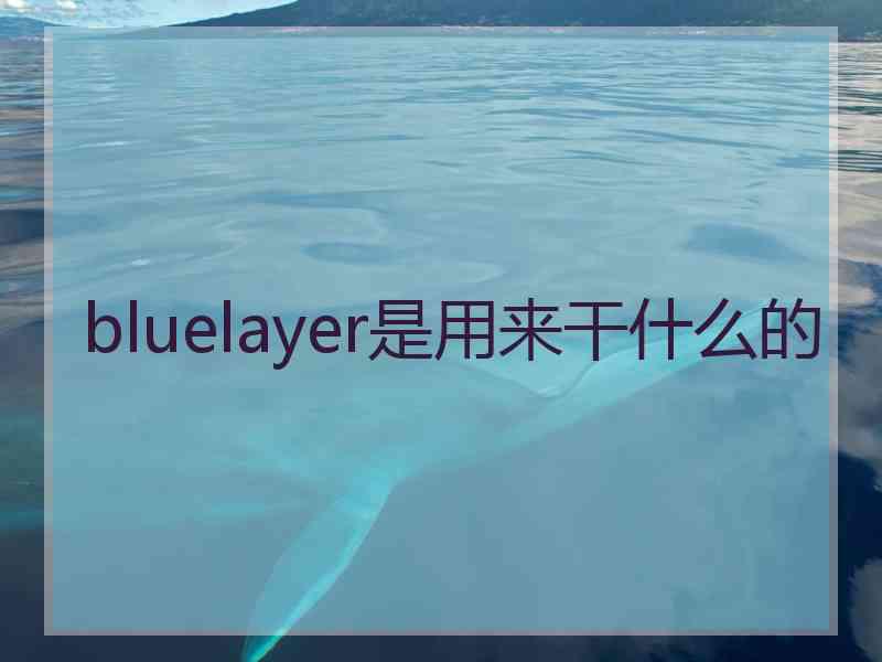 bluelayer是用来干什么的