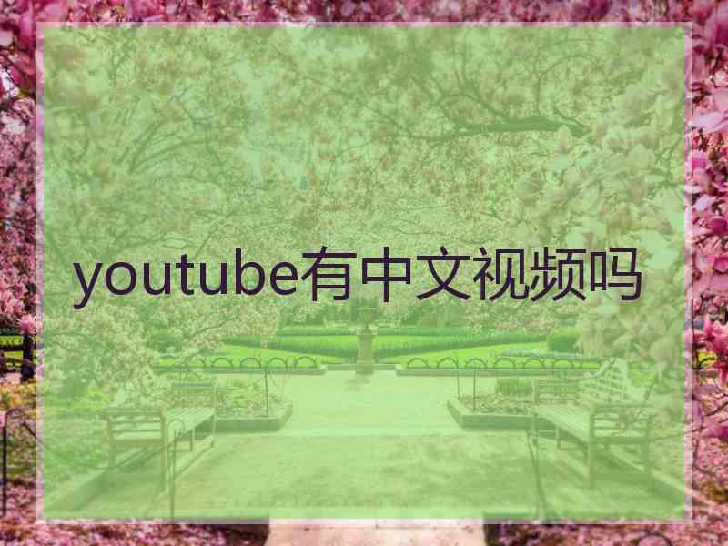 youtube有中文视频吗