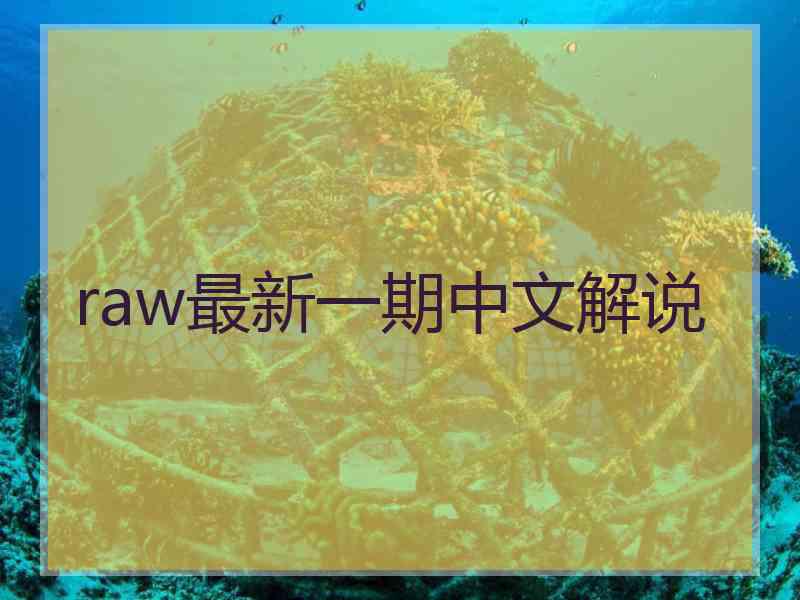 raw最新一期中文解说