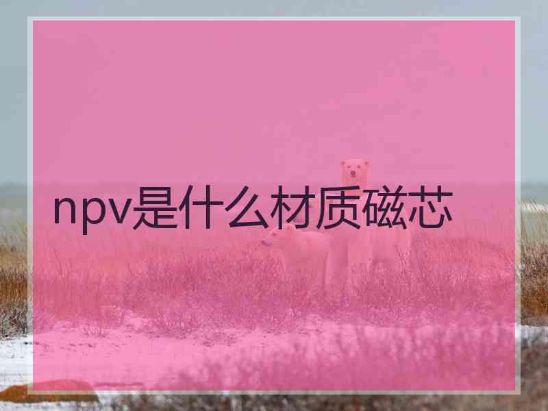 npv是什么材质磁芯