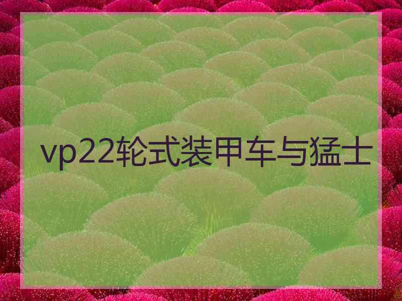 vp22轮式装甲车与猛士