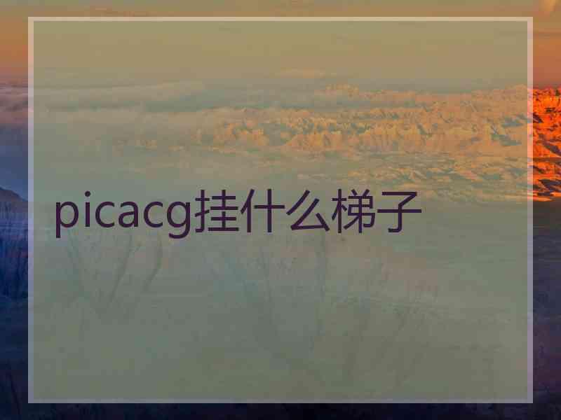 picacg挂什么梯子