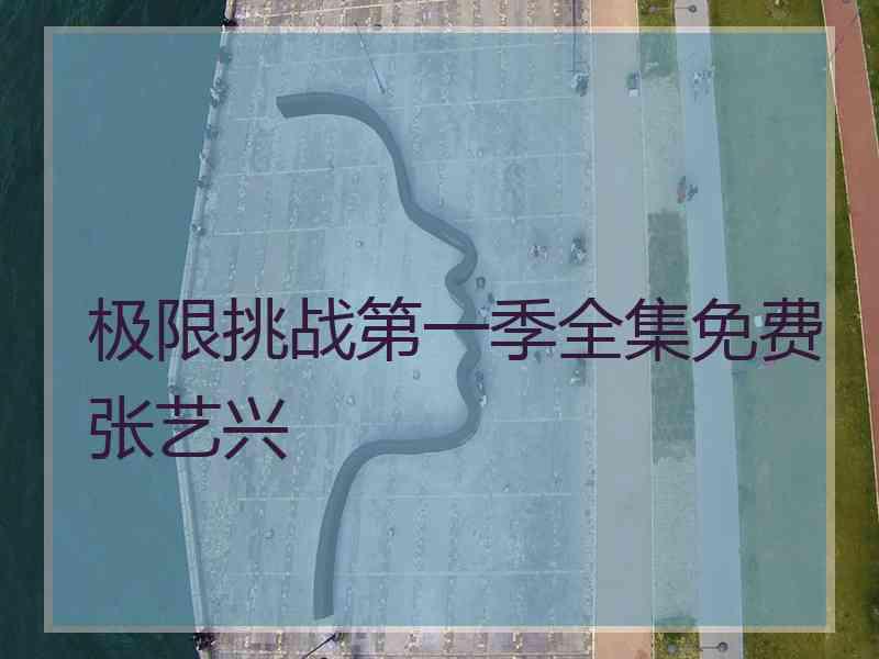 极限挑战第一季全集免费张艺兴