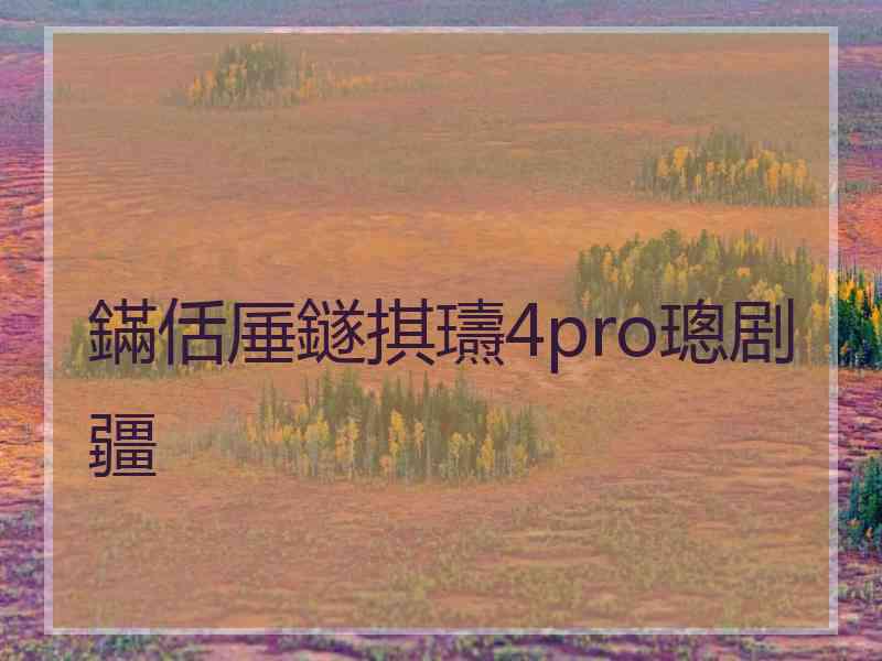 鏋佸厜鐩掑瓙4pro璁剧疆