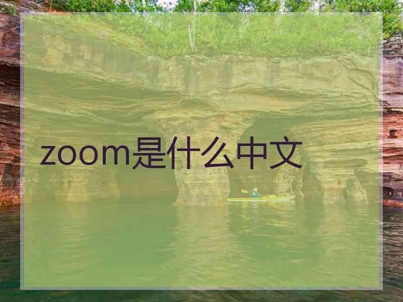 zoom是什么中文