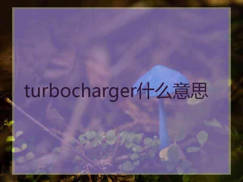 turbocharger什么意思