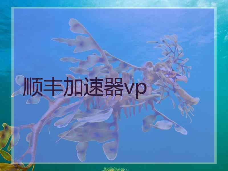 顺丰加速器vp