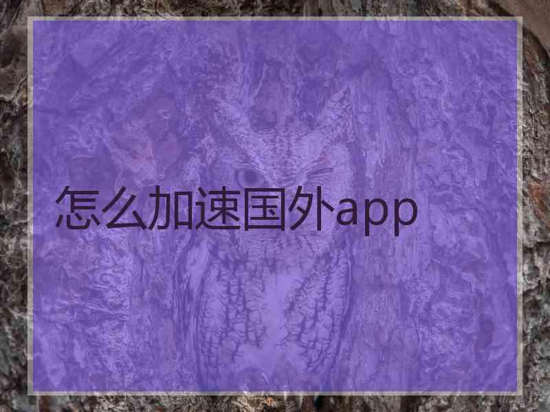 怎么加速国外app