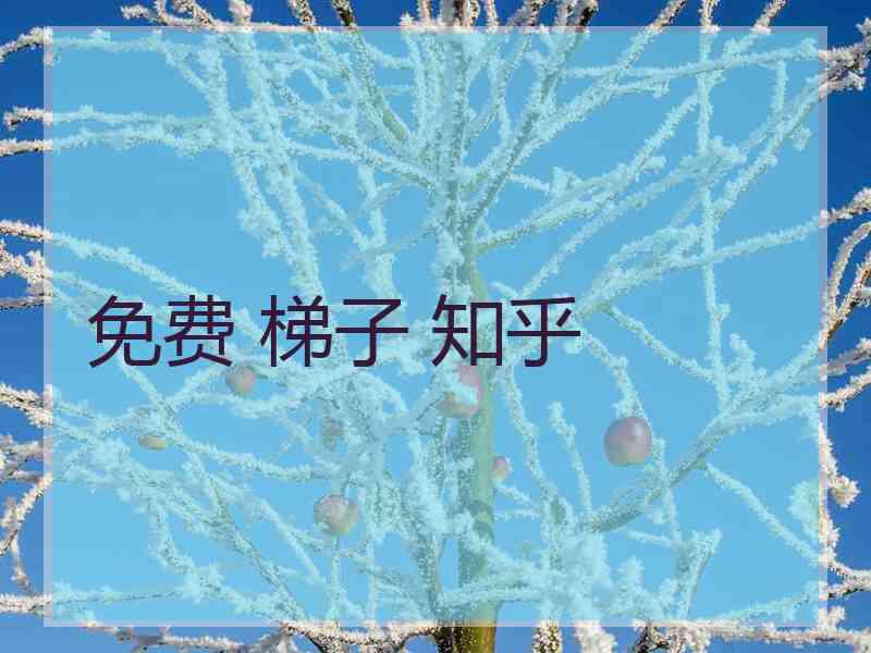 免费 梯子 知乎