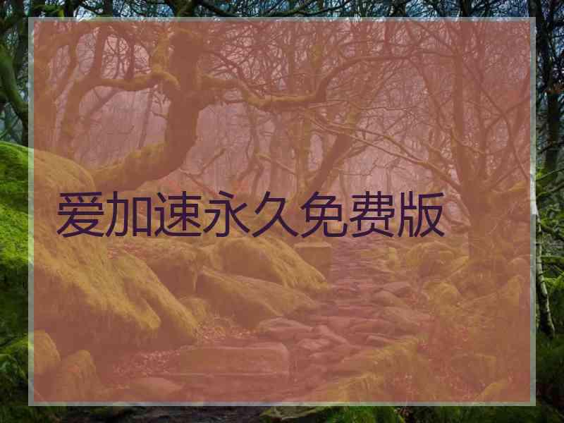 爱加速永久免费版