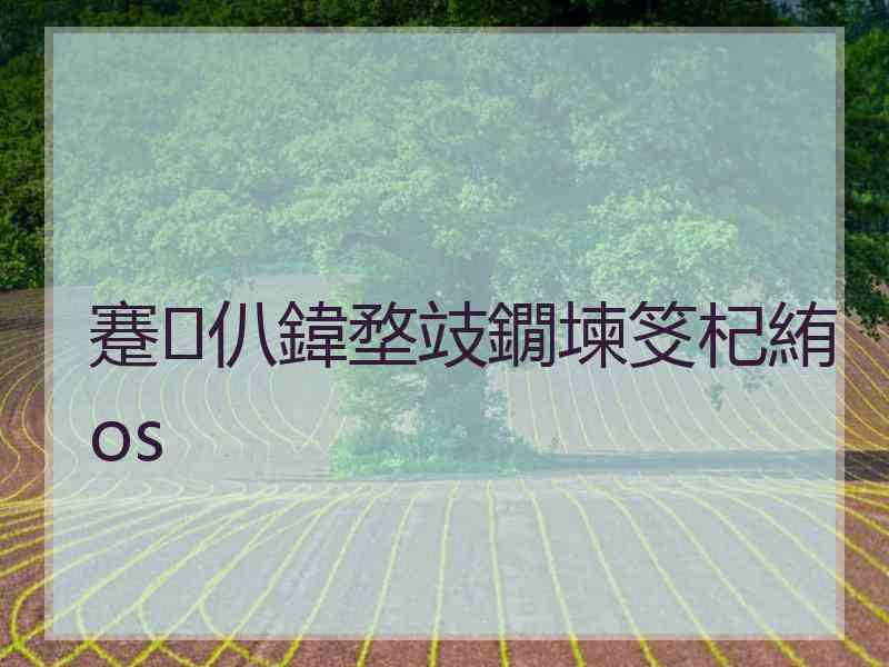 蹇仈鍏堥攱鐗堜笅杞絠os