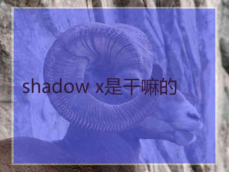 shadow x是干嘛的