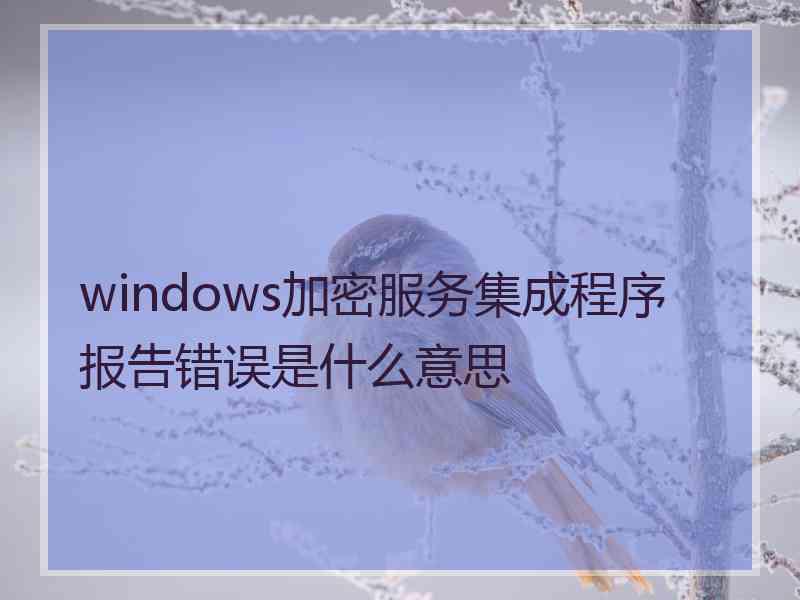 windows加密服务集成程序报告错误是什么意思