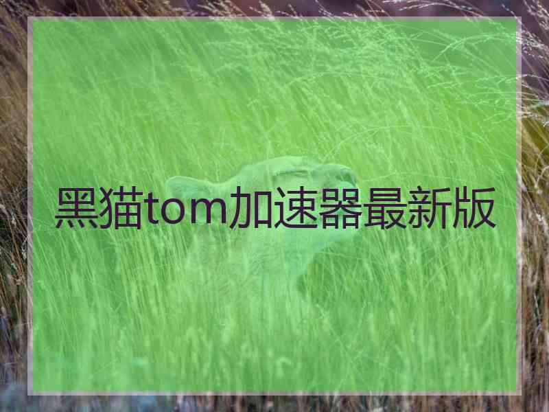 黑猫tom加速器最新版