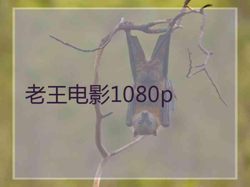 老王电影1080p