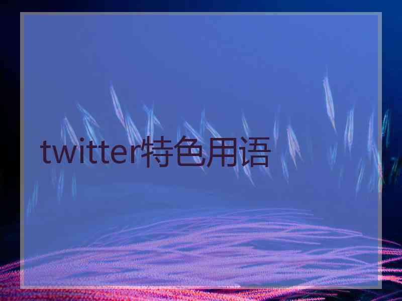 twitter特色用语