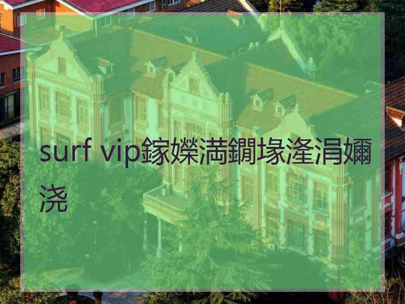 surf vip鎵嬫満鐗堟湰涓嬭浇