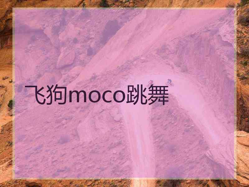 飞狗moco跳舞