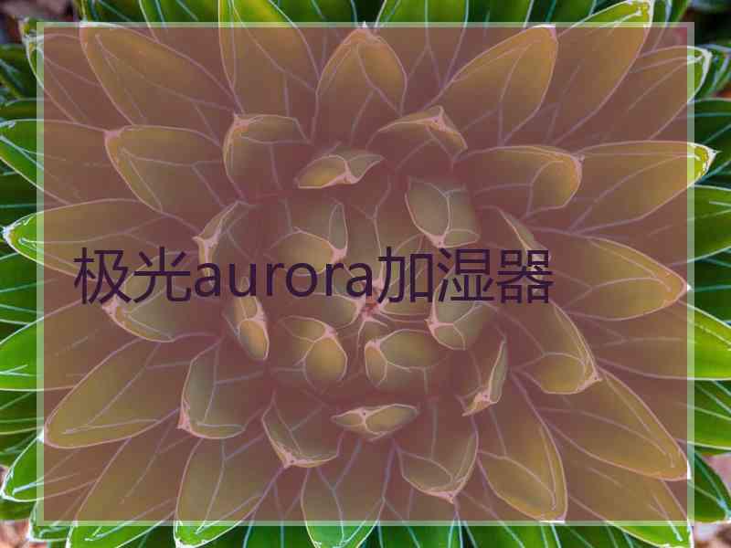 极光aurora加湿器