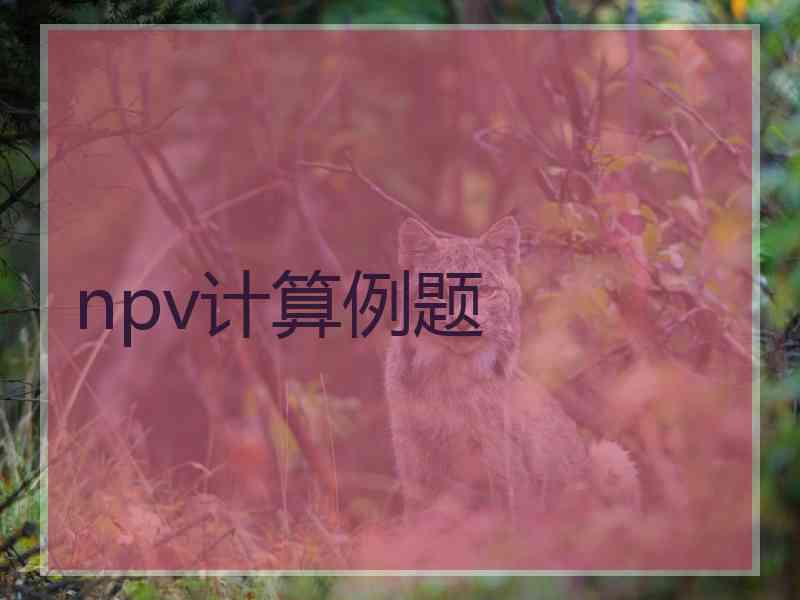 npv计算例题