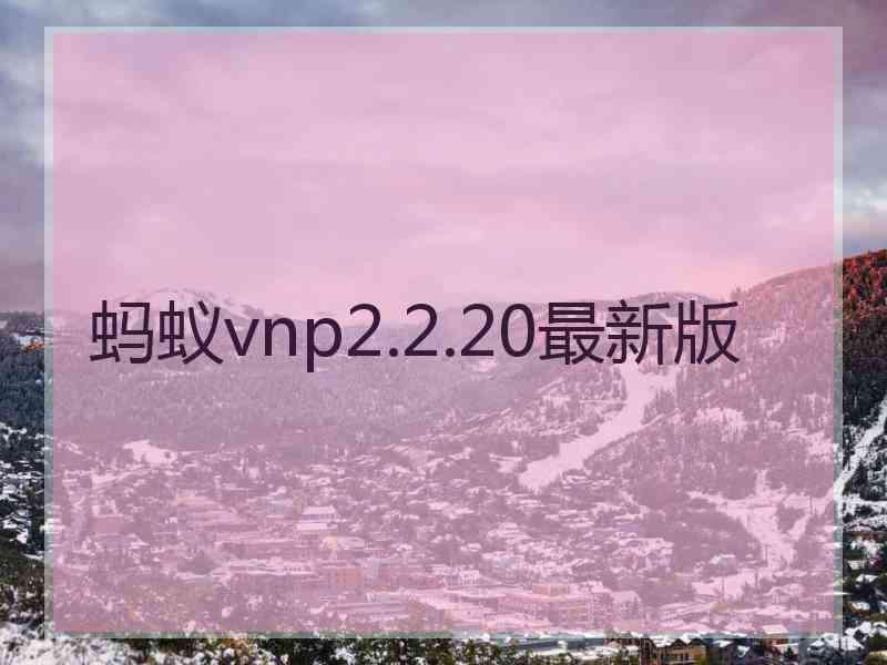 蚂蚁vnp2.2.20最新版