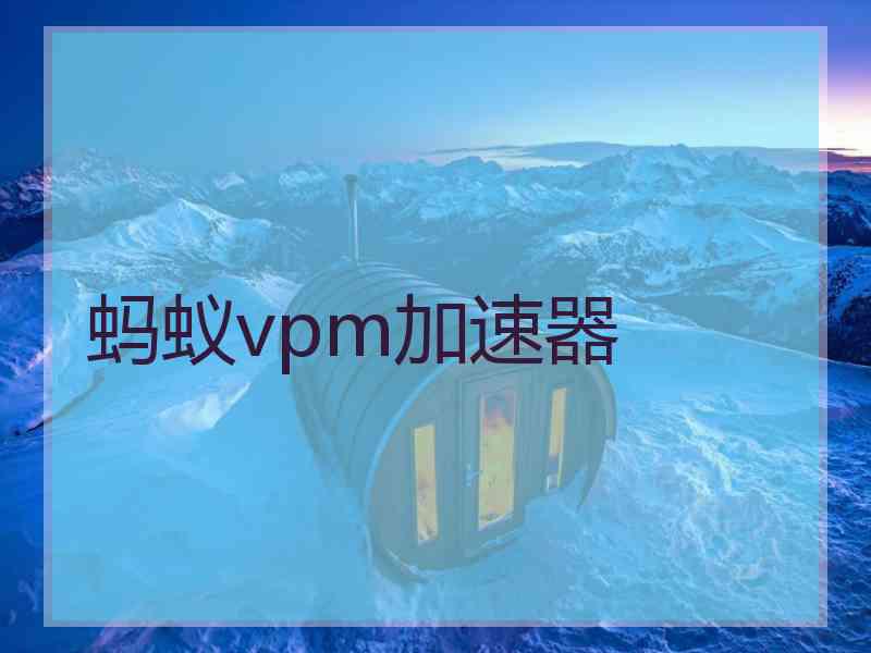 蚂蚁vpm加速器