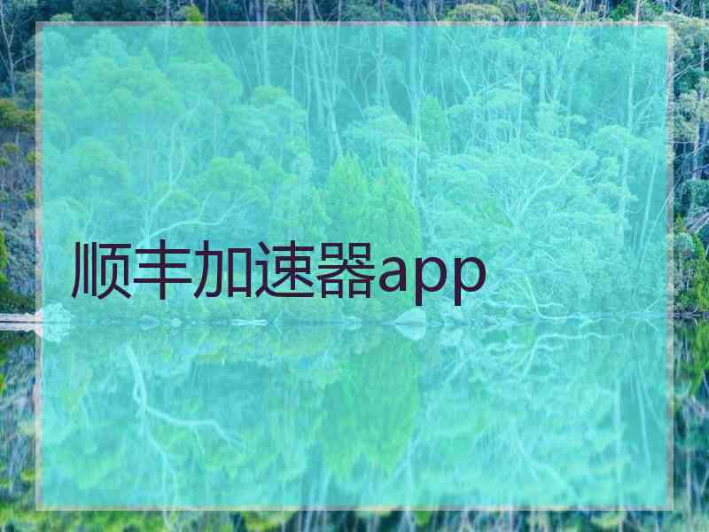 顺丰加速器app