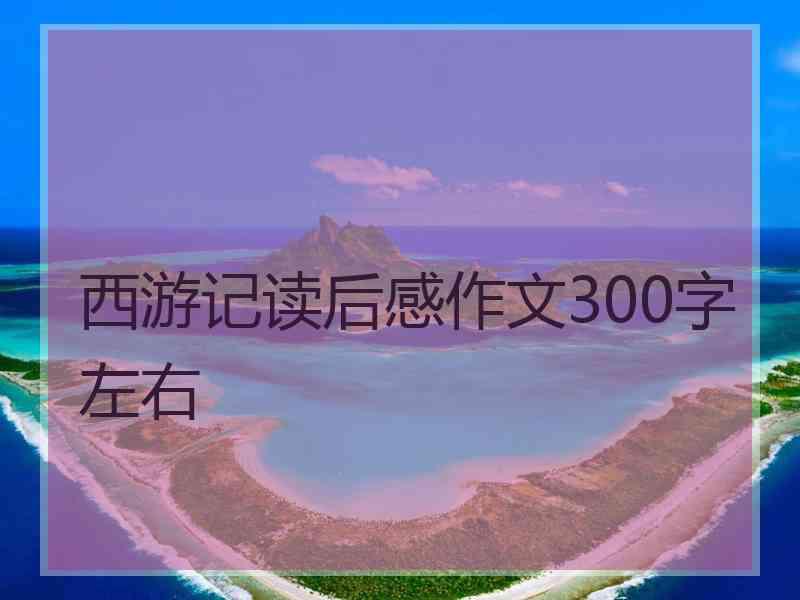 西游记读后感作文300字左右