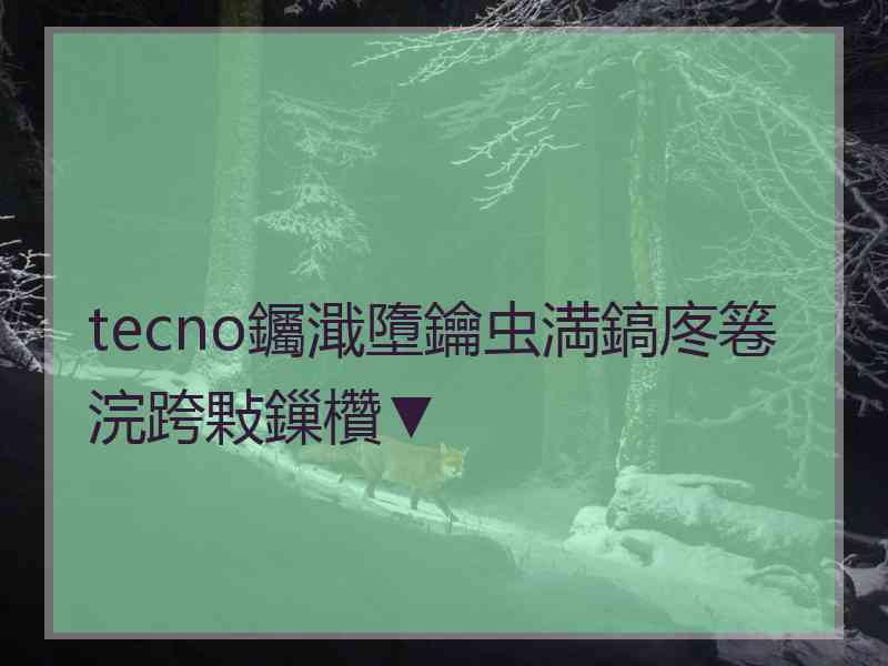 tecno钃濈墮鑰虫満鎬庝箞浣跨敤鏁欑▼