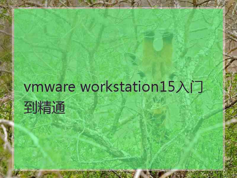 vmware workstation15入门到精通