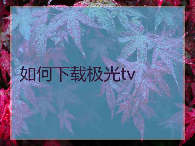 如何下载极光tv