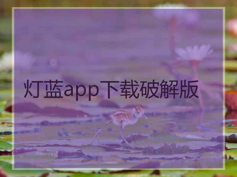 灯蓝app下载破解版