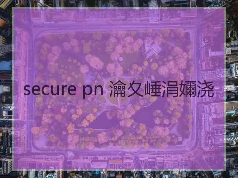 secure pn 瀹夊崜涓嬭浇