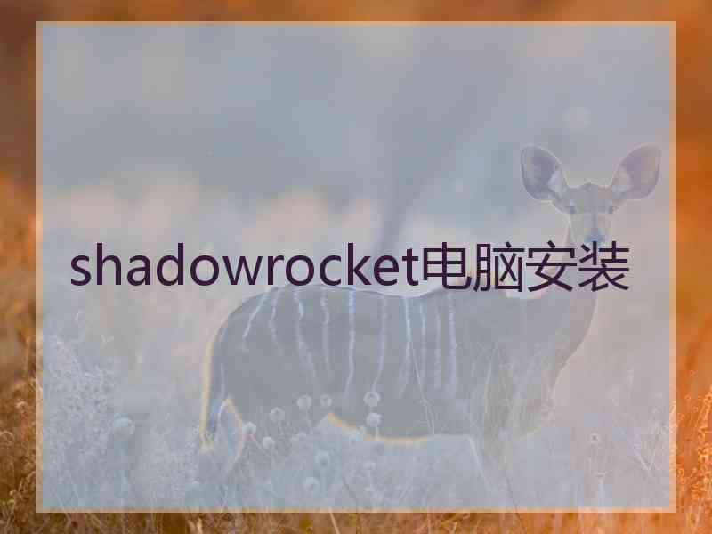 shadowrocket电脑安装