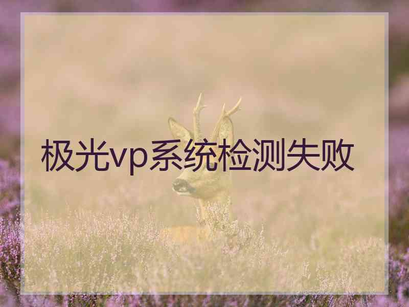 极光vp系统检测失败