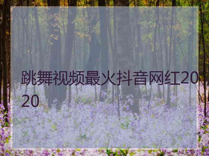 跳舞视频最火抖音网红2020